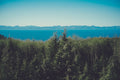 unsplash_11