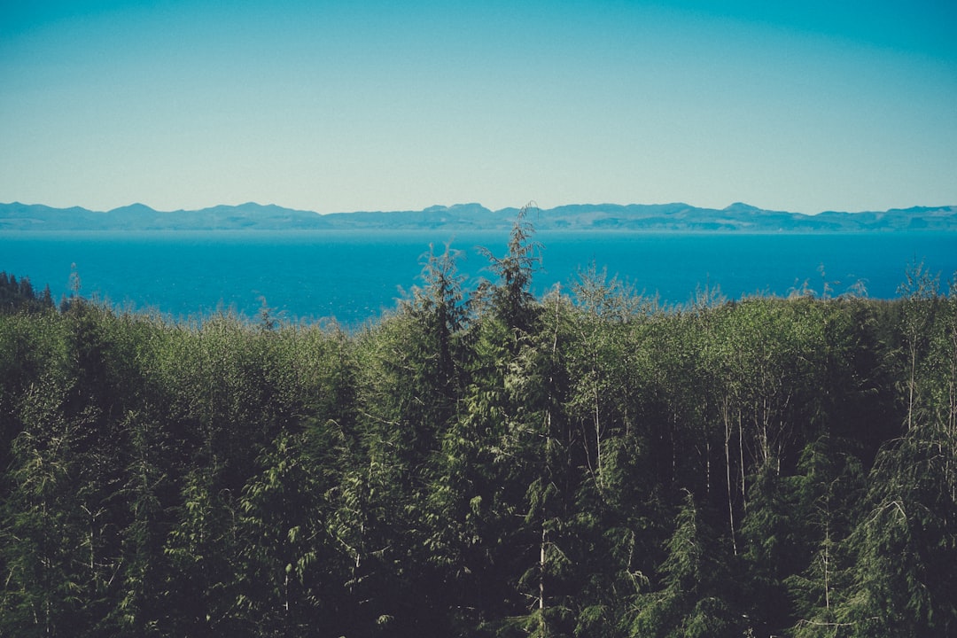unsplash_11