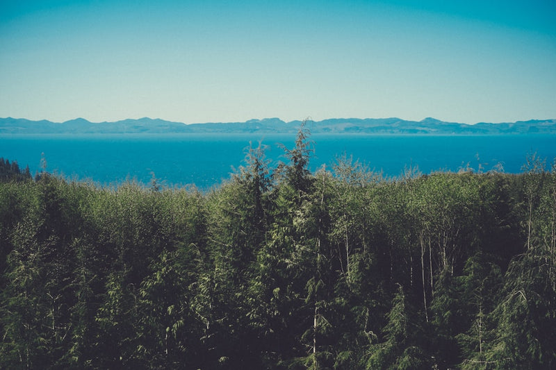 unsplash_11