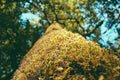 unsplash_14