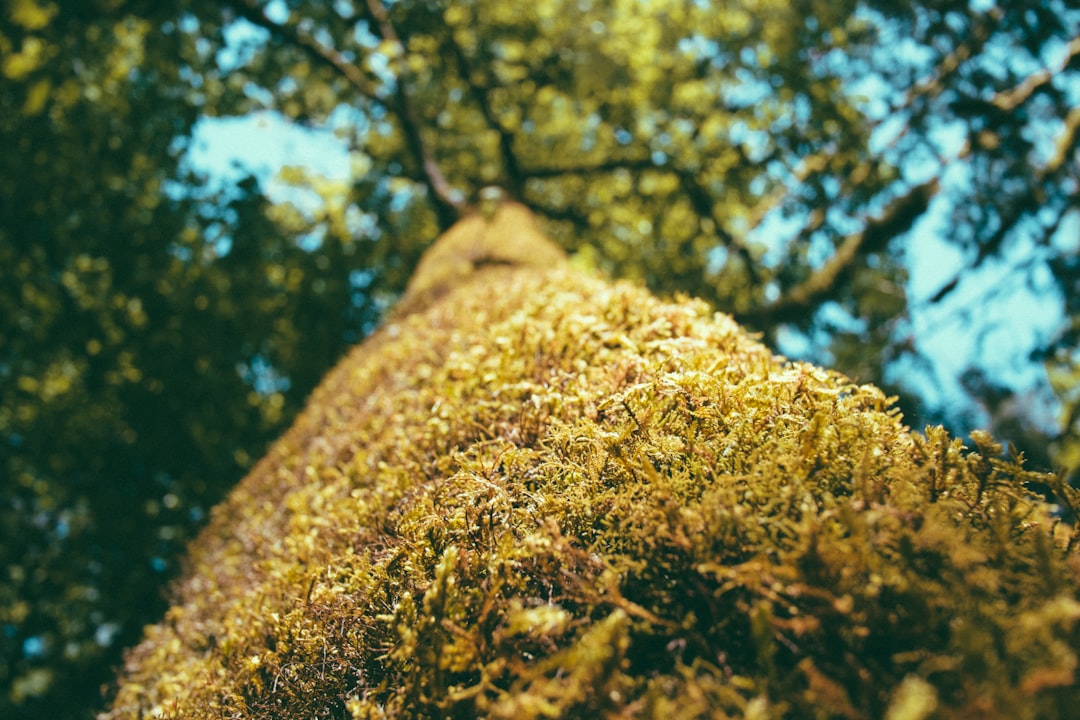 unsplash_14