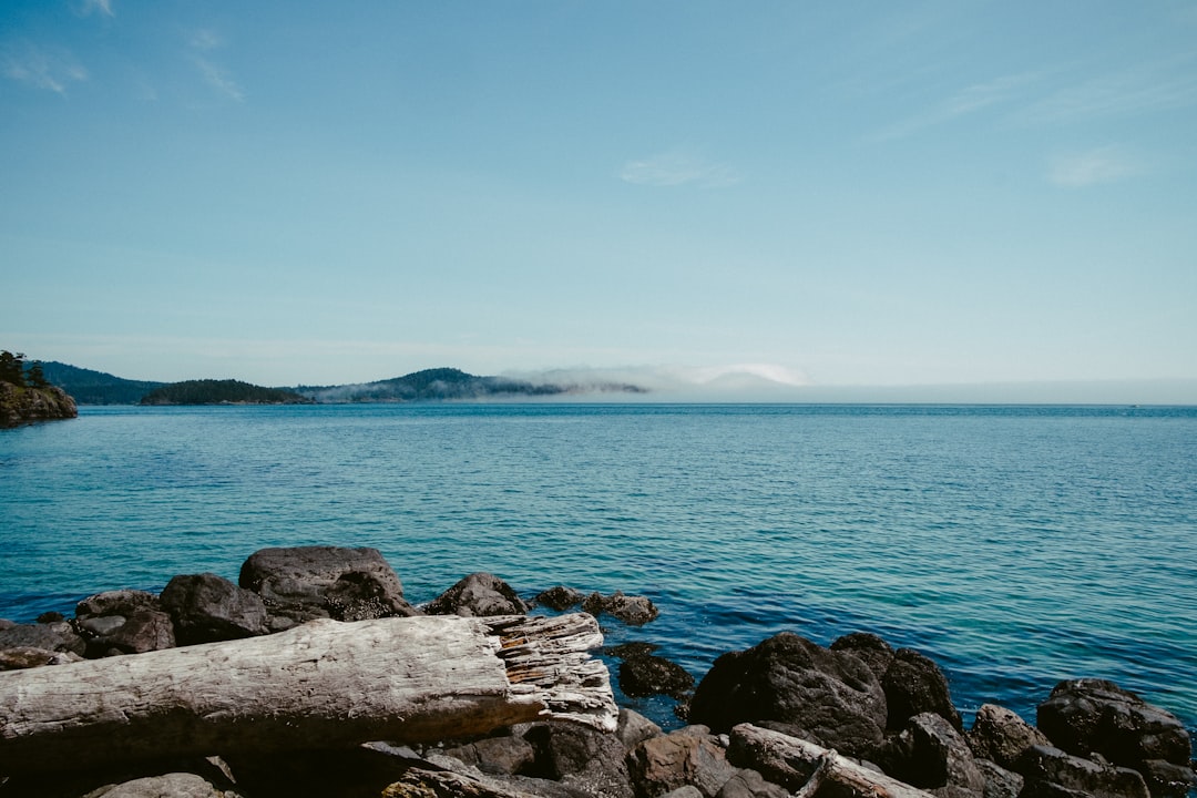 unsplash_15