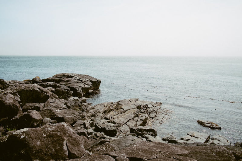 unsplash_17