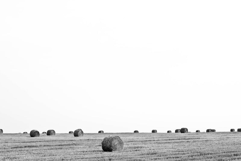 unsplash_276