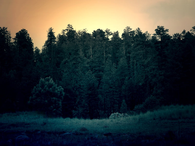 unsplash_76