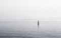 unsplash_278