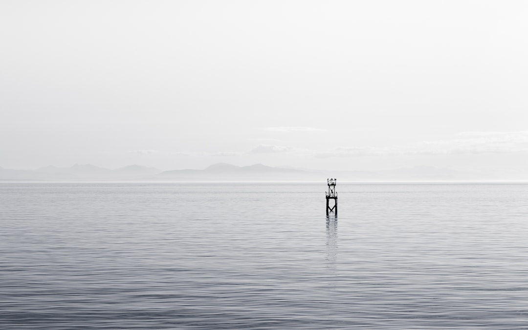 unsplash_278