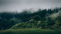 unsplash_321