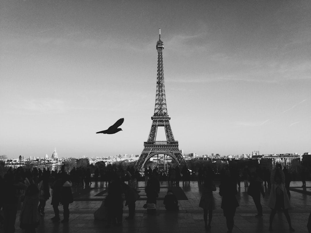 unsplash_291