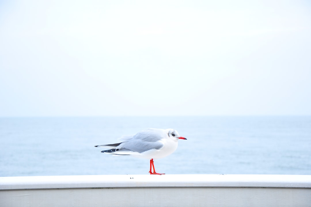 unsplash_254