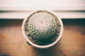 unsplash_228