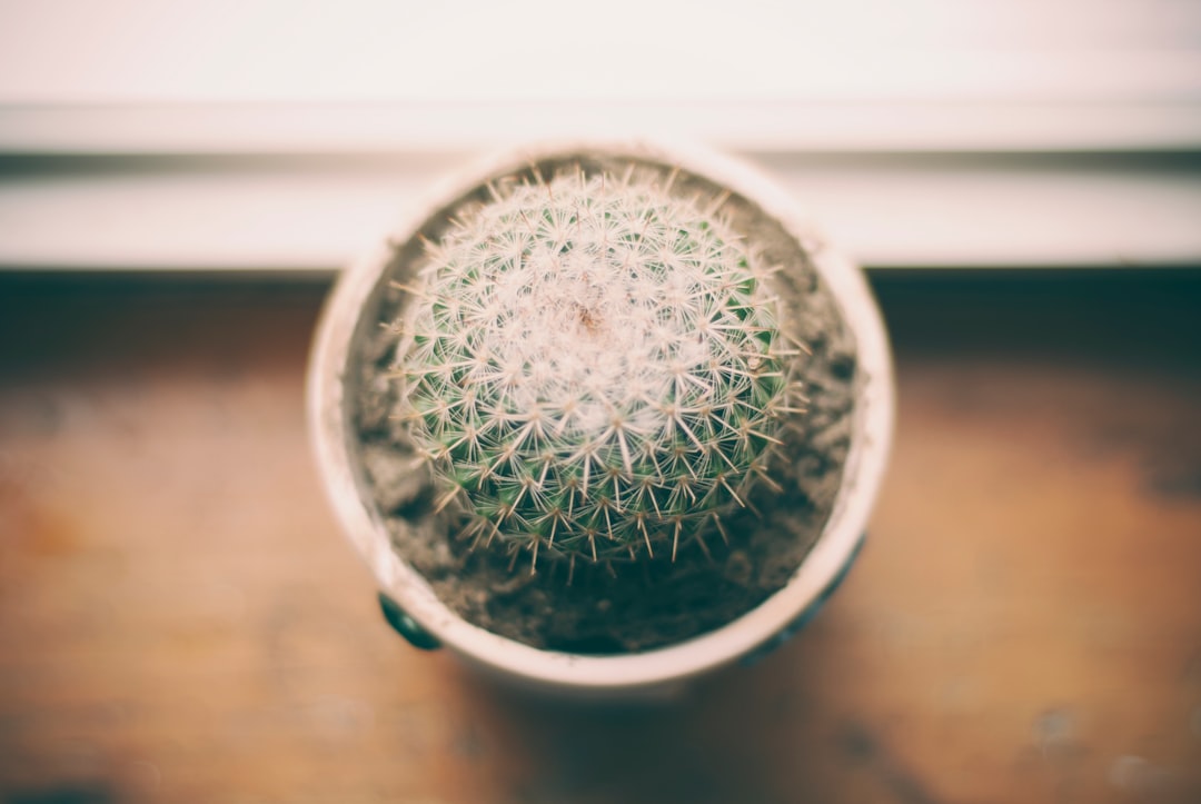 unsplash_228