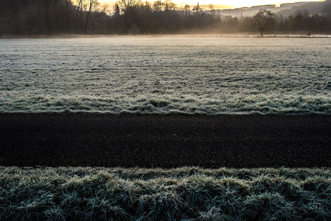 unsplash_174