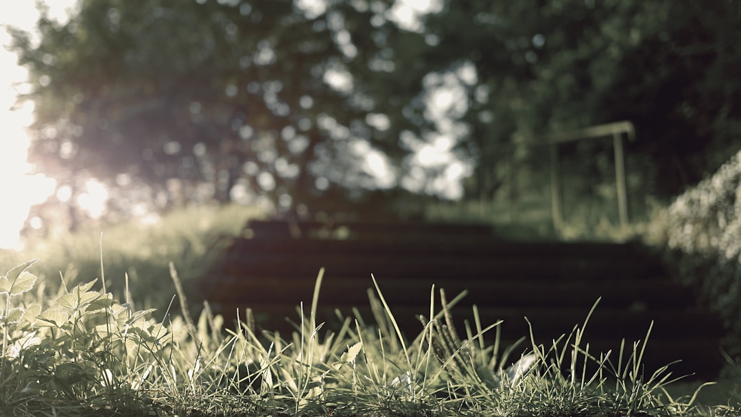 unsplash_85
