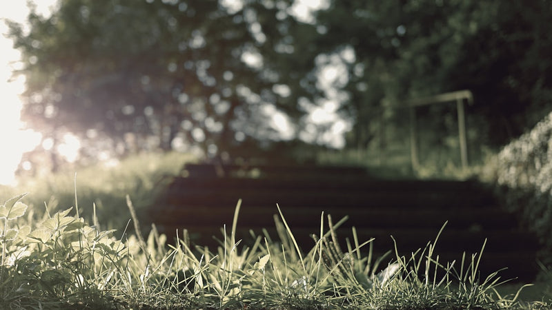 unsplash_85