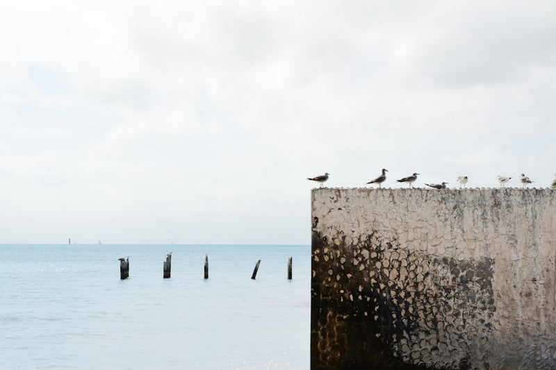 unsplash_248