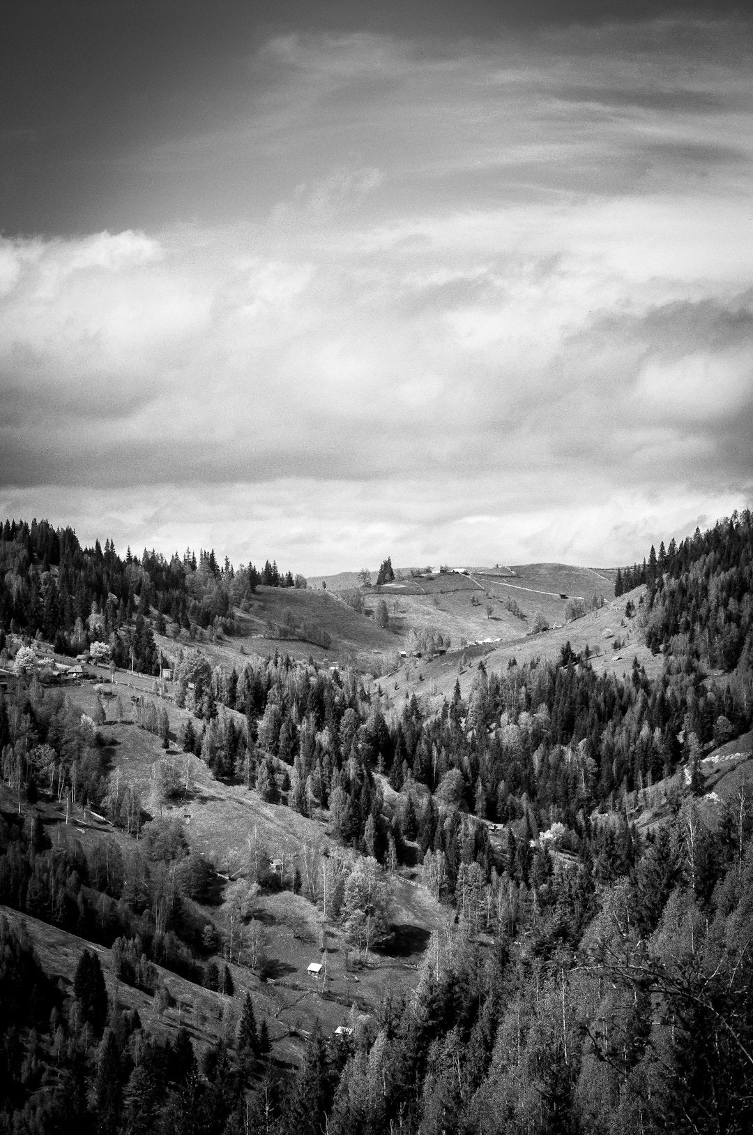 unsplash_57