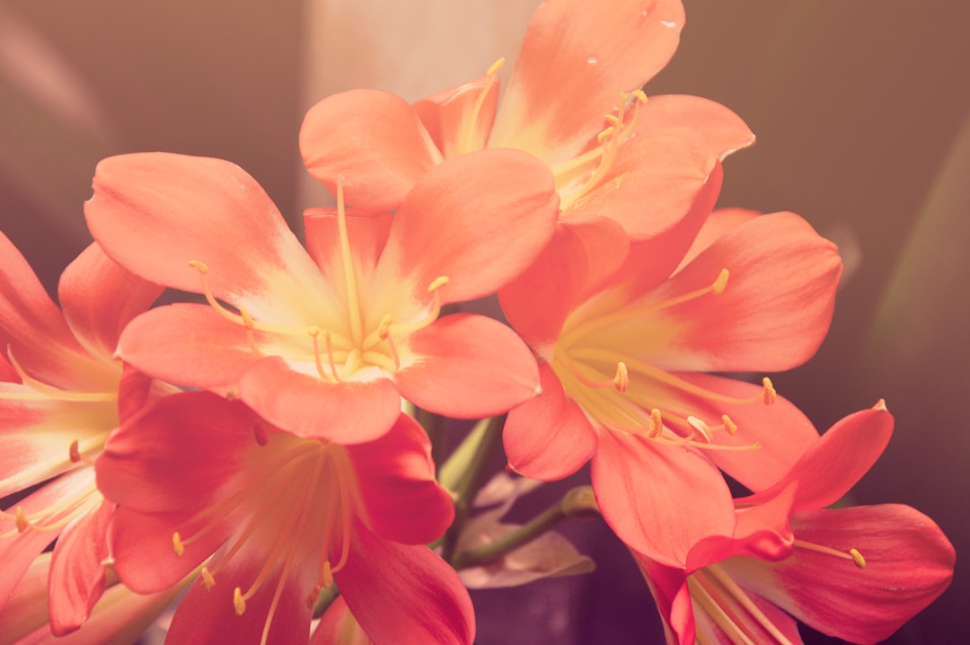 unsplash_325