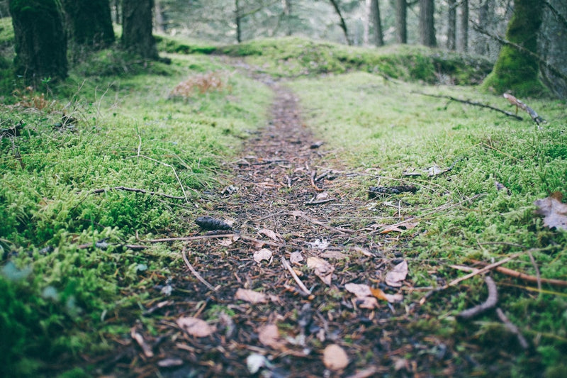 unsplash_201