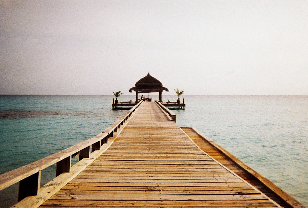 unsplash_69