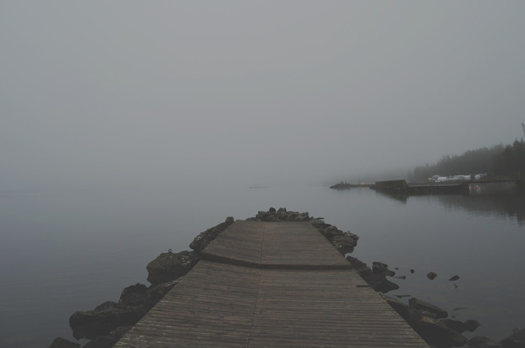 unsplash_159