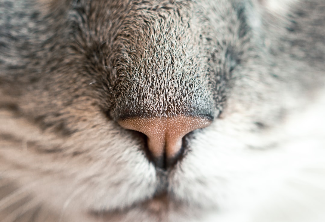 unsplash_39