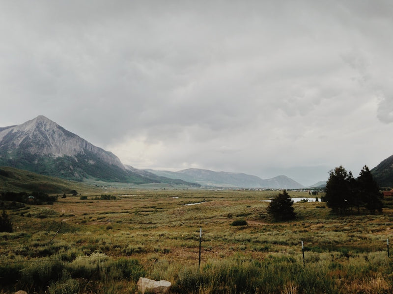unsplash_58