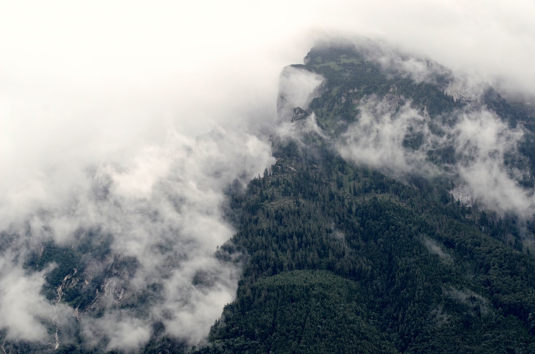 unsplash_368