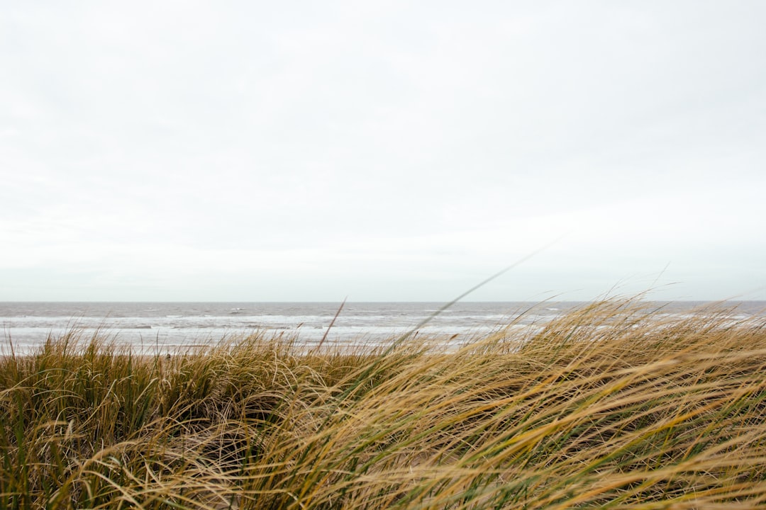 unsplash_315