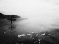 unsplash_324