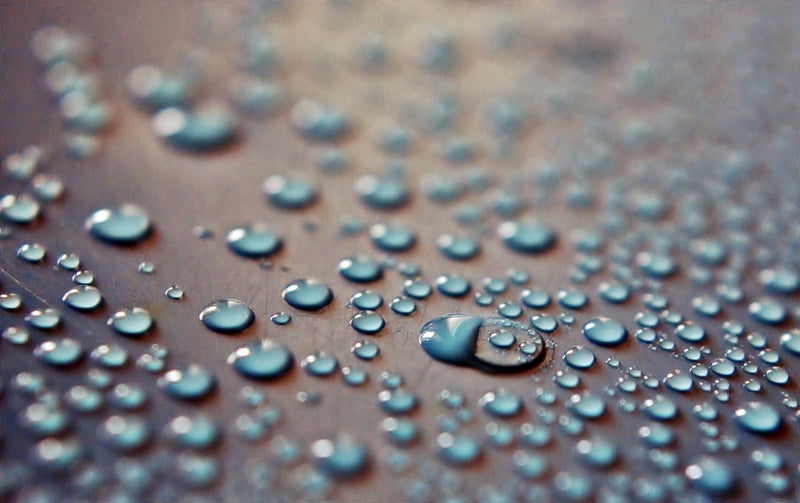 unsplash_41