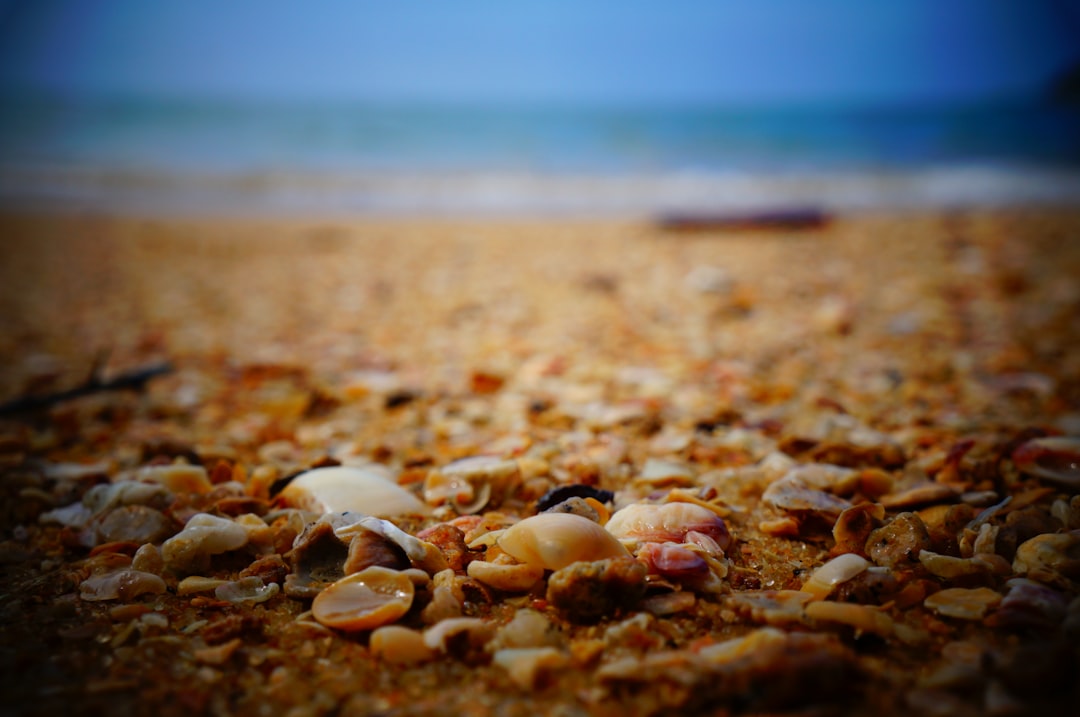 unsplash_88