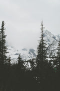 unsplash_240