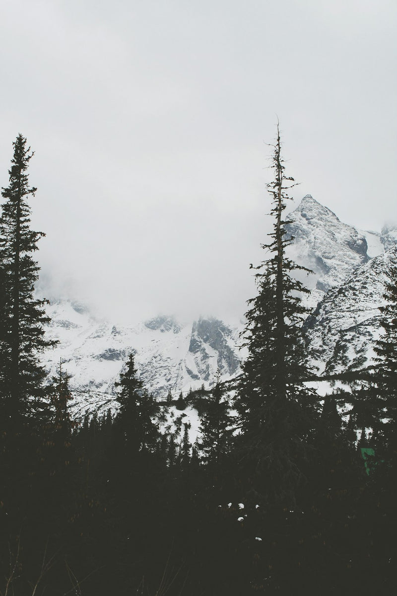 unsplash_240