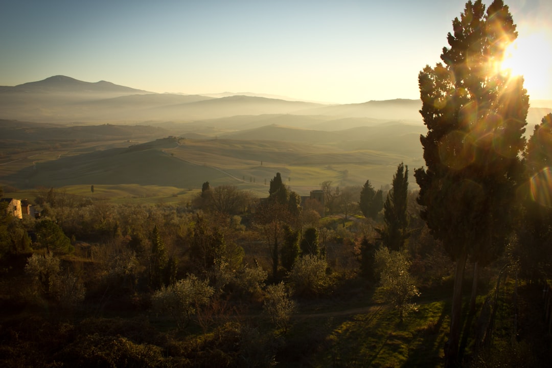 unsplash_63
