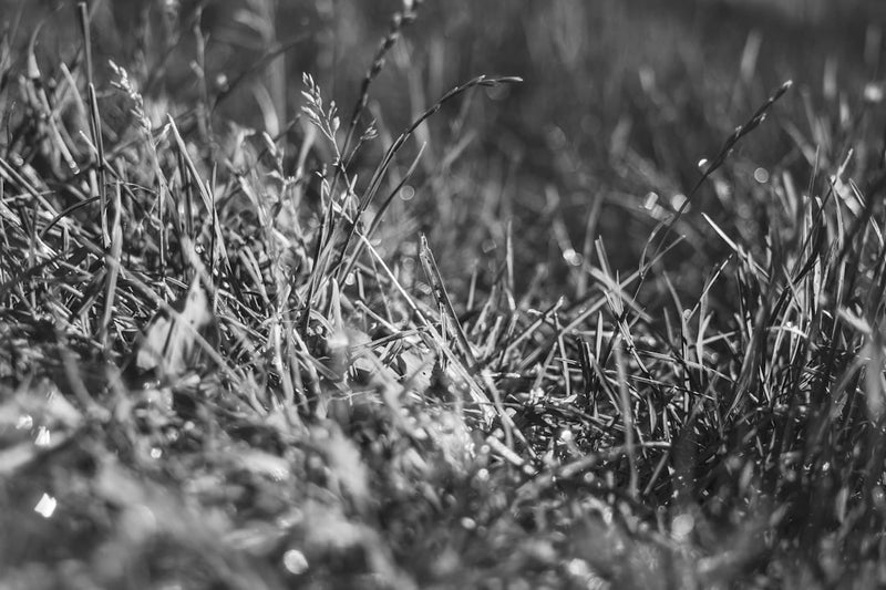 unsplash_73