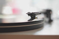 unsplash_44