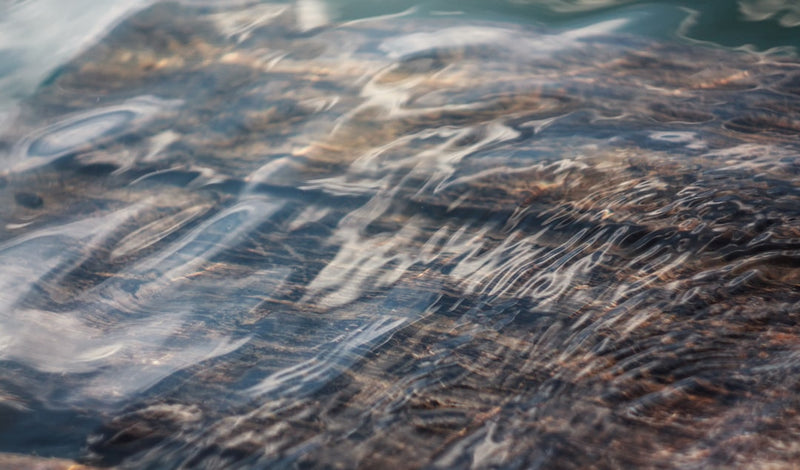 unsplash_110