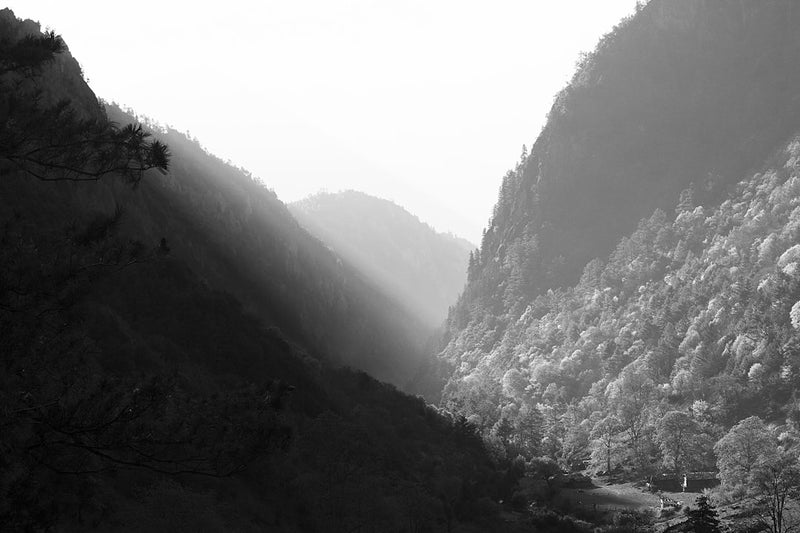 unsplash_114