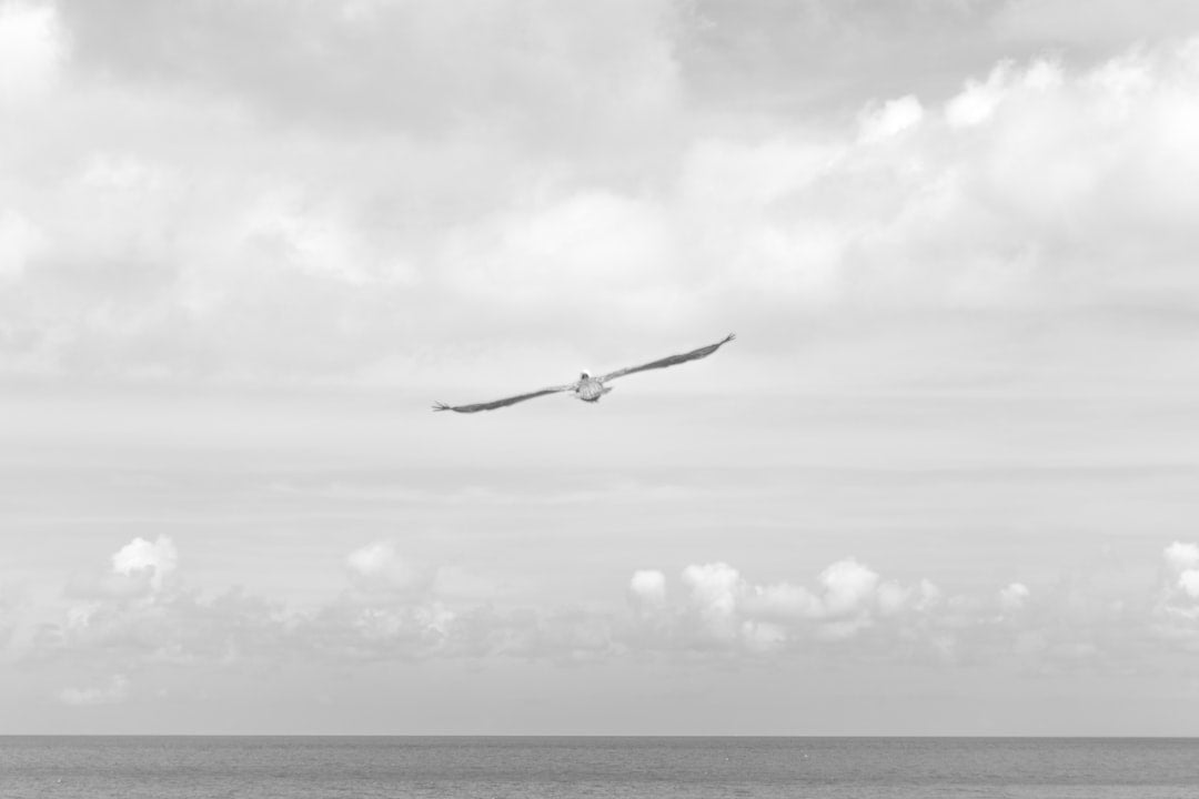 unsplash_117