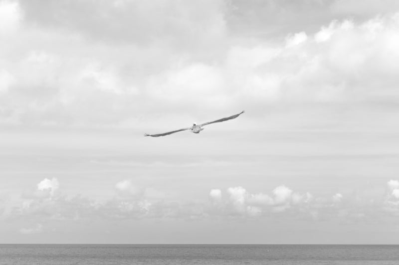 unsplash_117