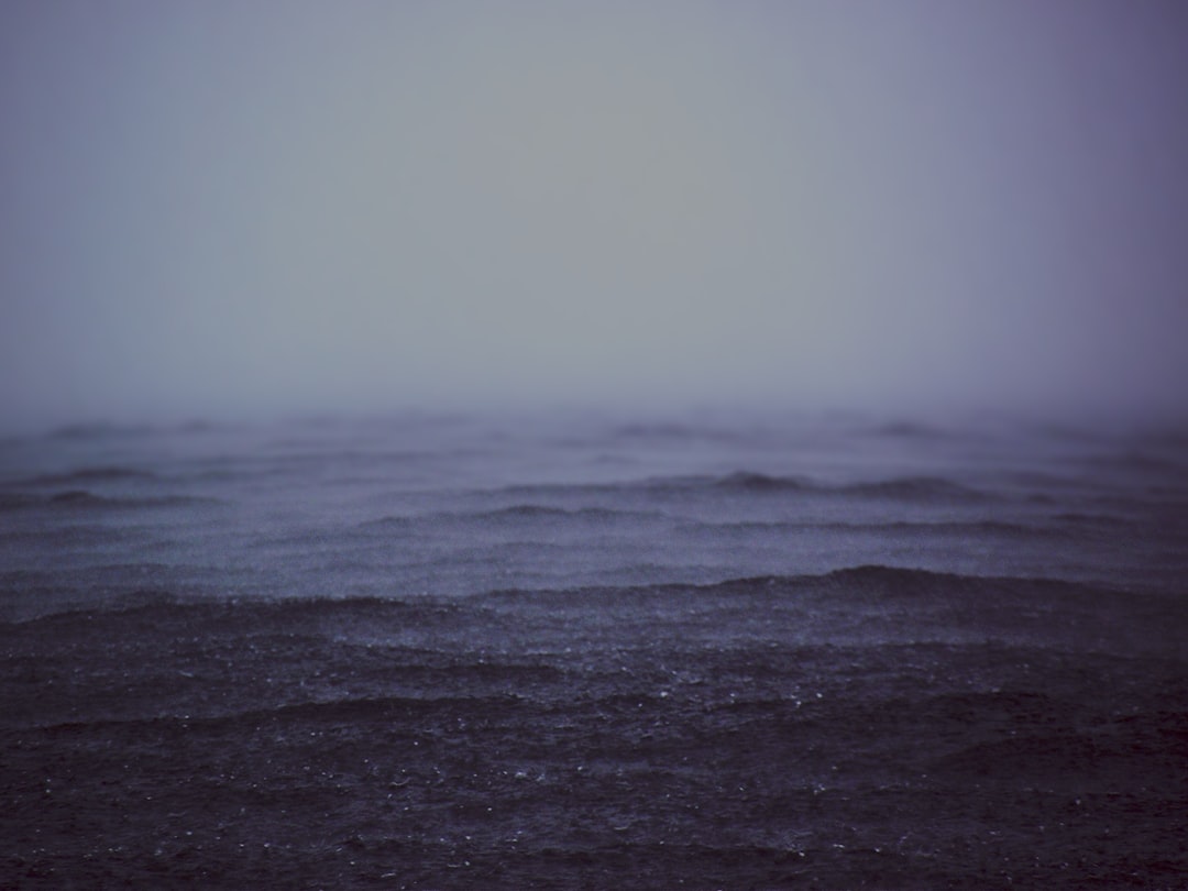 unsplash_122