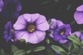 unsplash_139
