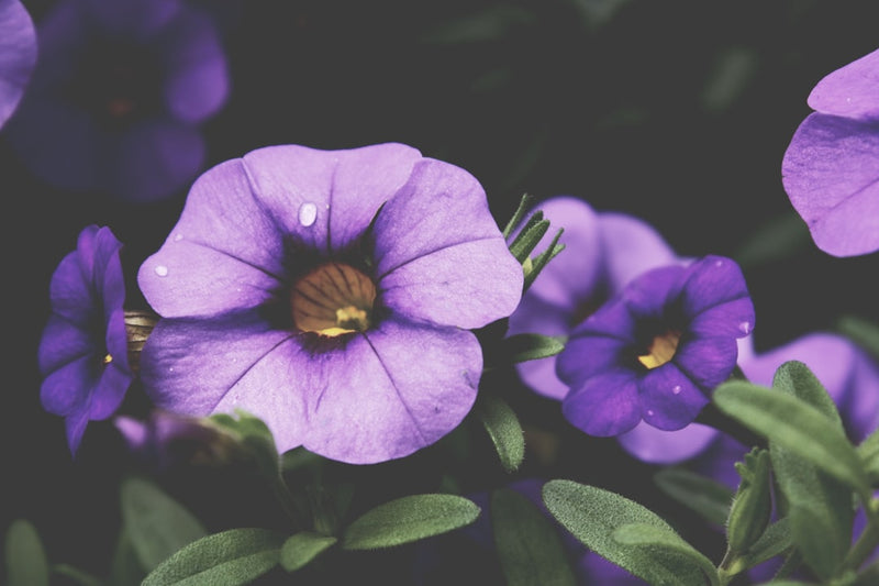 unsplash_139