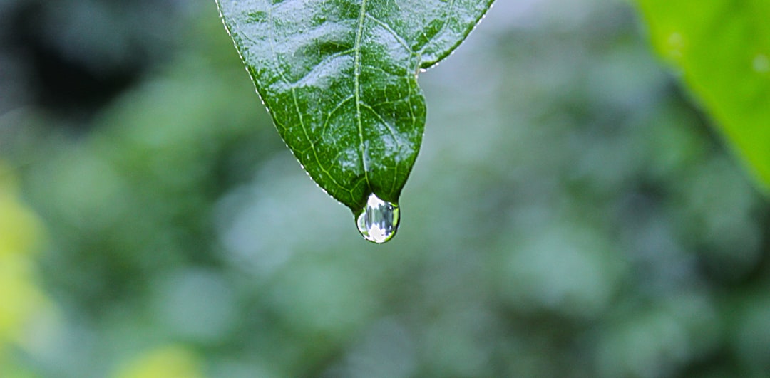 unsplash_146