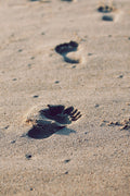 unsplash_143
