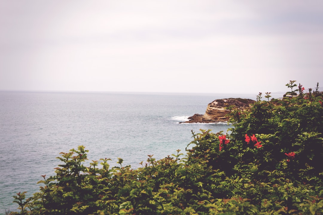 unsplash_33
